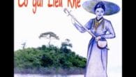 Cô Gái Liễu Khuê