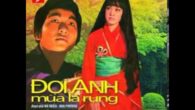 Đợi Anh Mùa Lá Rụng