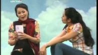 Dưới Tán Cây Bàng Vuông
