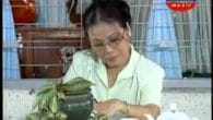 Gió Tàn Thu