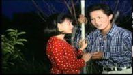 Gió Thổi Bên Sông