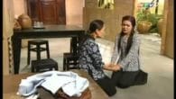 Chuyện Tình Lá Diêu Bông