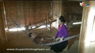 Lời khuyên của đấng sinh thành