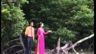 Lời Ru Đất Nước