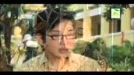 Lối Thu Xưa
