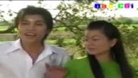Lời Tỏ Tình Ong Bướm