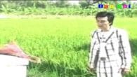 Lý Mồ Côi 2