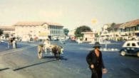 Nam Xuân – Nam Ai