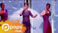 Nửa Hồn Thương Đau