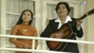Sầu Đâu Đắng Hoài