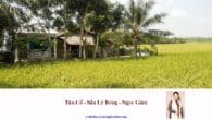 Sầu Lẻ Bóng