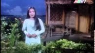 Thương Những Loài Hoa