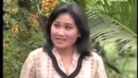 Tình Đất Tình Người