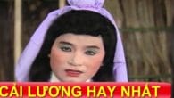 Trinh Nữ Lầu Xanh