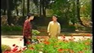 Vẫy Chào Ảo Mộng