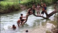 Xin Trả Tôi Về
