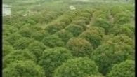 Bắc Giang màu xanh yêu thương