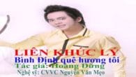 Bình Định quê hương tôi