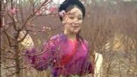 Đi hội Làng