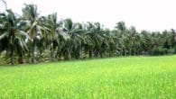 LK Bến Tre