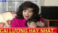 Tình Xa Nghĩa Lạ