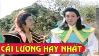 Vụ Án Vương Ngọc Tuyền