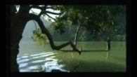 Huyền thoại nặm pé