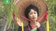 Cây trúc xinh