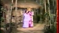 Cải lương: Tam đả châu long