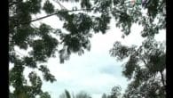 Ấm nồng sắc nắng tháng 4