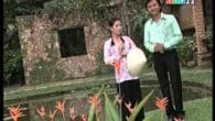 Ba miền Xuân ca