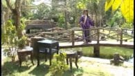 Cải lương Phật giáo: Thả một bè lau phần 2