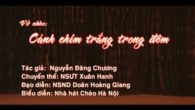 Cánh chim trắng trong đêm