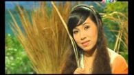 Chiều trên quê hương tôi