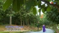 Cõi bờ trong tiếng mẹ ru
