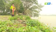 Dạy hát chèo – Điệu Luyện năm cung (lời cổ)
