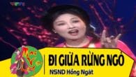 Đi giữa rừng ngô