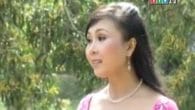 Đờn ca tài tử Cải lương: Người chiến sĩ yêu thương