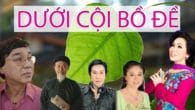 Dưới cội bồ đề