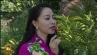 Duyên dáng tình xuân