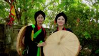 Gió đưa cây cải