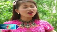 Hải Dương một khúc tình quê
