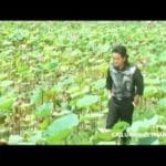 Hai lối mộng cải lương