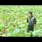 Hai lối mộng cải lương