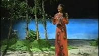 Hương Tràm
