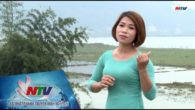 Mưa chiều Miền Trung