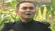 Mừng tuổi mẹ