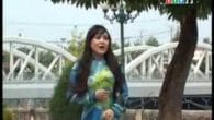 Nhớ mãi một mùa Xuân