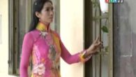 Nhớ mãi trường xưa