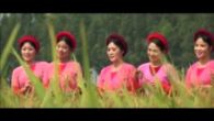 Như ruộng năm sào